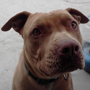 Meet your Posher, Wendy